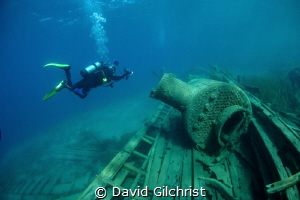 U/W Photographer hovers over wreck of the steam tug, 'Ali... by David Gilchrist 